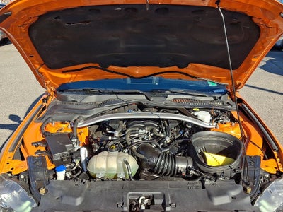 2021 Ford Mustang Mach 1