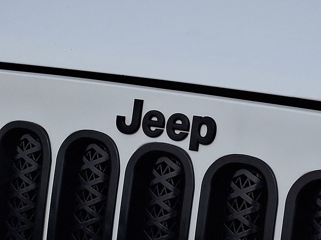 2017 Jeep Wrangler Unlimited Winter 4x4