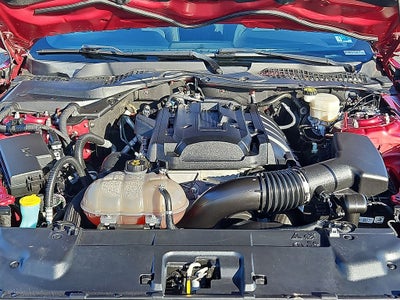 2019 Ford Mustang EcoBoost