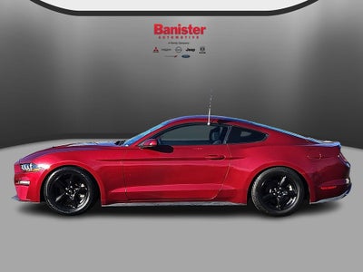 2019 Ford Mustang EcoBoost